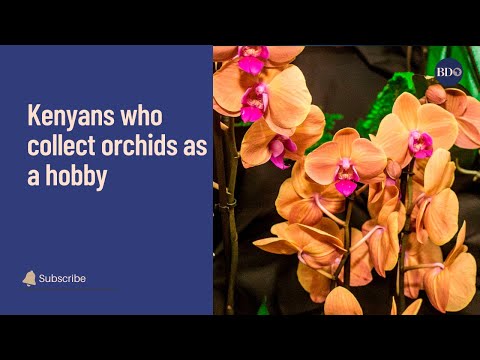 Kenyans who collect orchids as a hobby