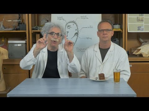 Világos Professzor - Biológia: Altruizmus