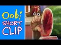 Oobi Watermelon Noggin Short Incomplete