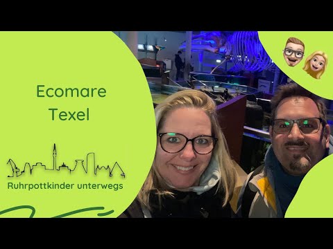 Ecomare auf Texel - Robben, Seehunde und Meer