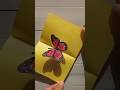 DIY Butterfly Pop Up Card Easy Idea Giftideas Papercraft Diy Shorts