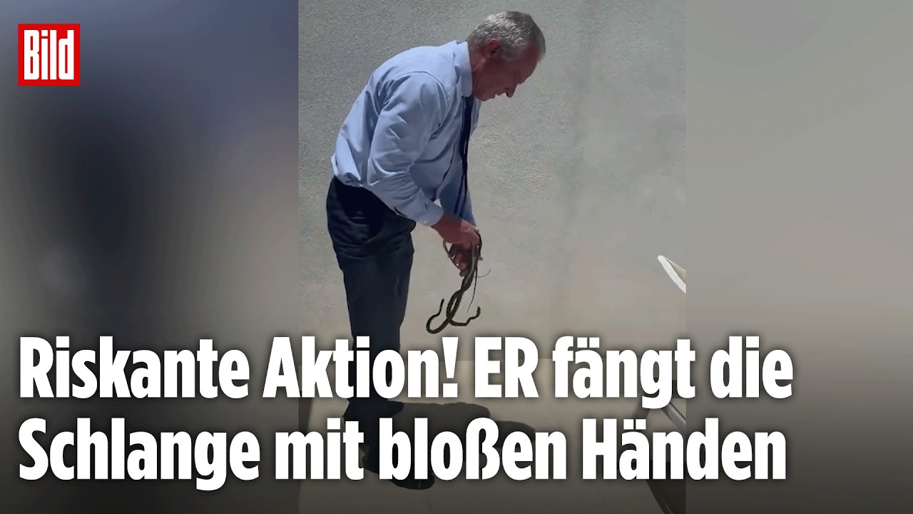 USA: Robert F. Kennedy Jr. packt zu! US-Politiker spielt Schlangenfänger