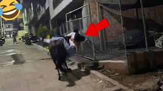Epic Workplace Accidents & Funny Fails | Moments When Things Went Wrong MQDEFAULT Thumbnail