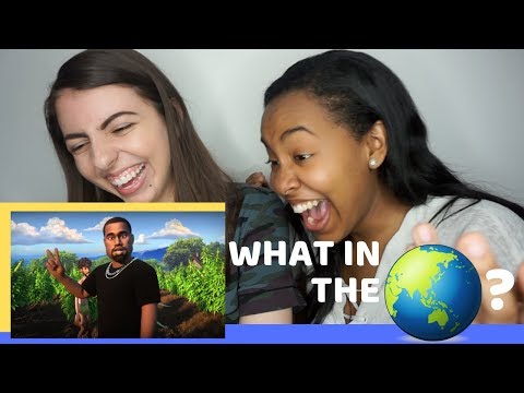 Lil Dicky - Earth (Official Music Video) [REACTION]