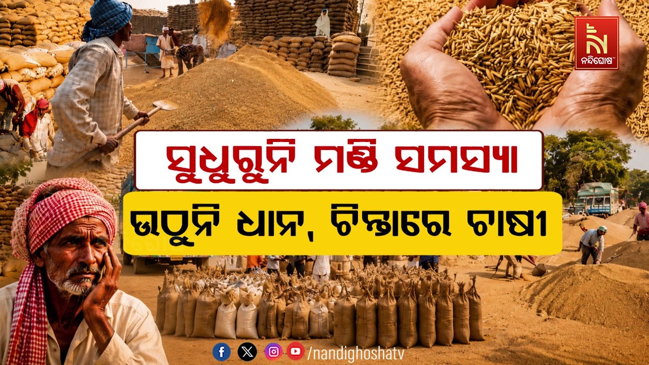 🔴 Live | ସୁଧୁରୁନି ମଣ୍ଡି ସମସ୍ୟା; ଉଠୁନି ଧାନ, ଚିନ୍ତାରେ ଚାଷୀ
