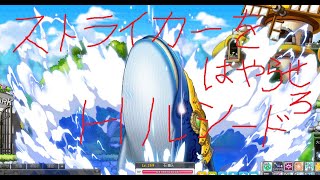 メイプルストーリー　Hルシソロ　ストライカー