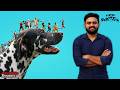 Pennum Porattum Movie Malayalam Review Reeload Media