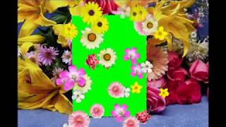 Green Screen Frame With Flowers Falling Down Animation