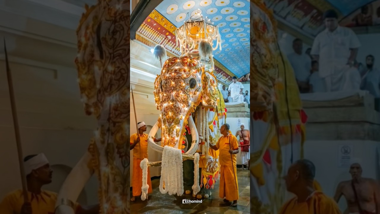 YouTube Short thumbnail