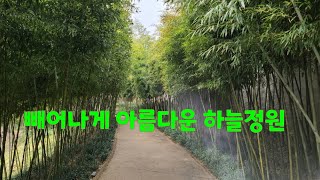 빼어나게 아름다움을 피우는 하늘정원 이예요