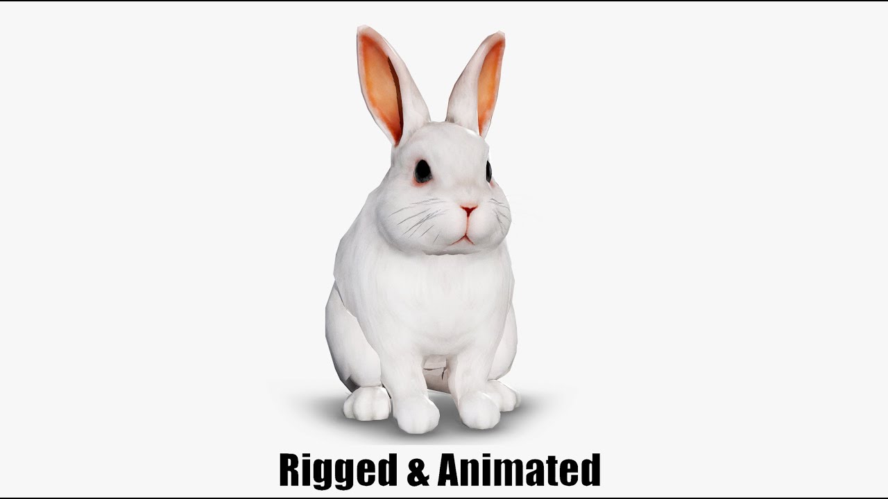 Animated white rabbit 3D Model