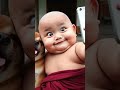 Deewar Miraroad Roti Kapda Makan Cutebaby Ai