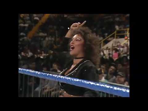 Macho Man Randy Savage vs  The Ultimate Warrior