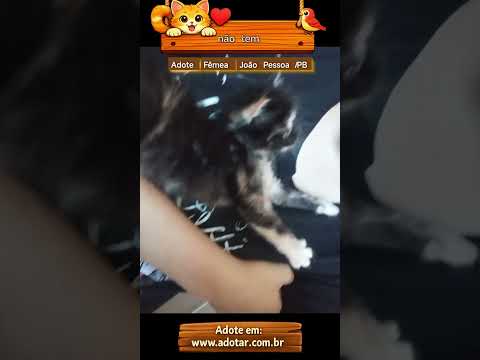Vídeo de Pretinha