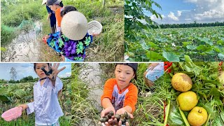 Dẫn Khối nghỉ hè ra đồng Sen trải nghiệm bắt ốc | Ký ức miền Tây #travel #life #fishing