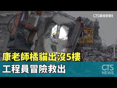 現場直擊！康老師橘貓出沒5樓　工程員冒險救出