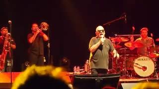 Eric Burdon & The Animals - "In the Pines" live @ Reggio Emilia 2016