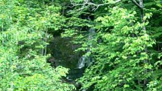 preview picture of video '06-04-10: Unnamed Roadside Falls - Just below Buck Lake Wildlife Mgmt Area, Vermont'