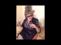 LALE DADASOVA ANLAMAZDIM (Parodiya ...