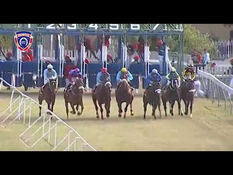 RM29 R7 - Power Of Peace