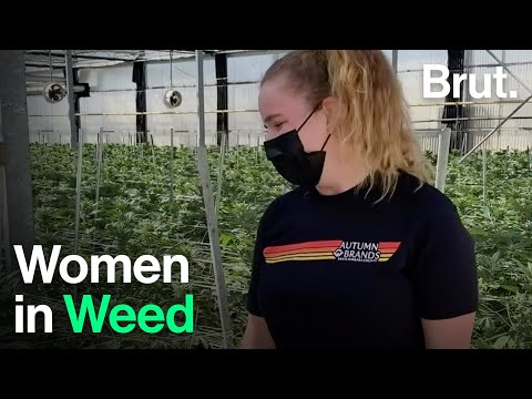 Women in Weed: Meet One of the First Women Cannabis Leaders in California