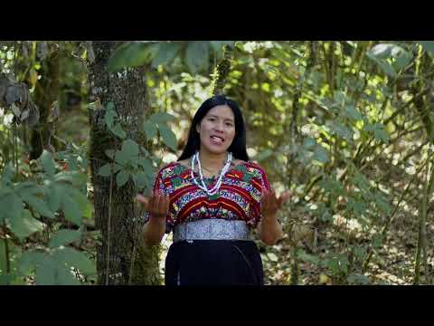 Documental   El buen Vivir desde la Cosmovisión Maya Mam Comitancillo, San Marcos