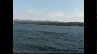 cowboy junkies-miles from home, thanks junkies