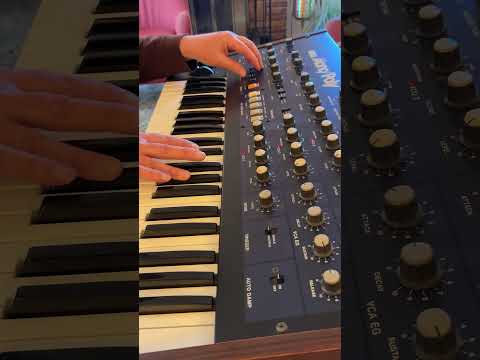 Korg Mono/Poly Analog Synth – Original Owner – Clean Condition – Classic 4‑Oscillator Vintage image 5