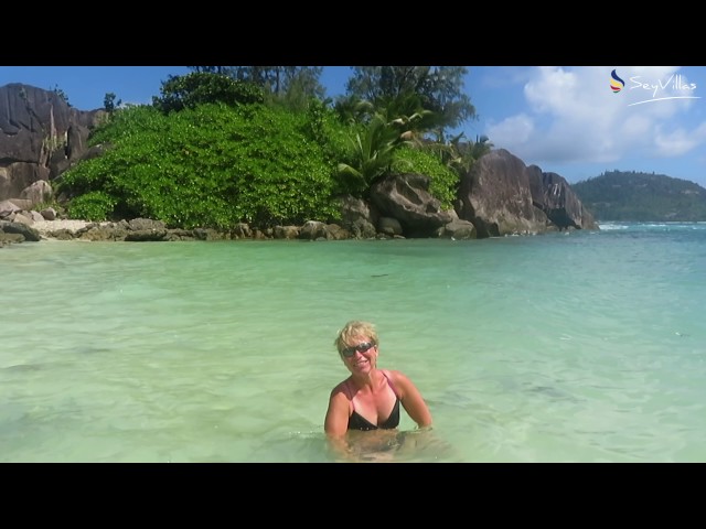 Video - Image - Träume nicht dein Leben – lebe deinen Traum!