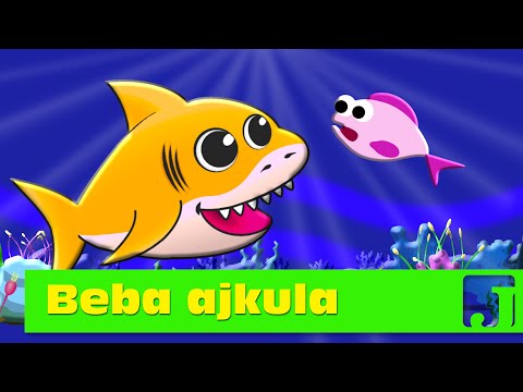 Beba ajkula | Baby Shark | Dečije pesme | Jaccoled