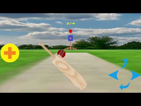 Sports : Cricket Batting