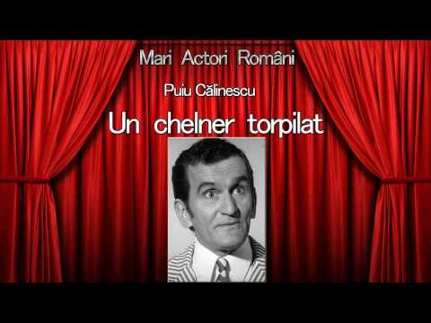 Un chelner torpilat - Puiu Calinescu