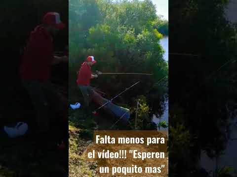 #Villasboas #AventurayPesca "Último de 3 Shorts ya subidos" pasa y mírate los anteriores !!!