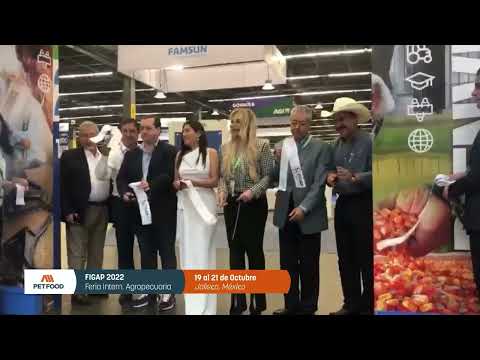 Figap - Edición 2022 