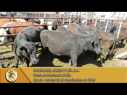 25-09-18 Venta de Gordo - Hourcade, Albelo y Cía. S.A. - Rauch