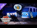 NEW Find The Missing Bong Bong Who Lost The Medal Tayo Rescue Team Cartoon Tayo The Little Bus