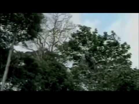 Kanoi - Paint the City