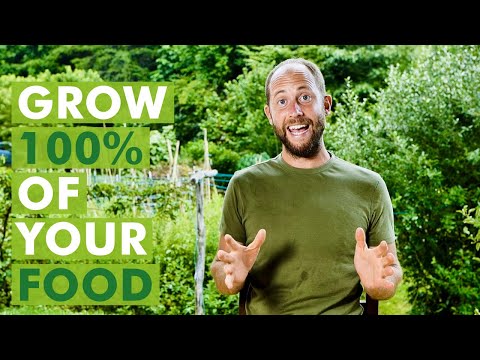 My Top Lessons from a Year of Growing and Foraging All My Food!