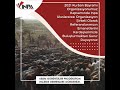 Afrika Da Kurban Kesimi Kurban Organizasyonu Kurban Bayramı Eid Adha Afrika Kurban Africa