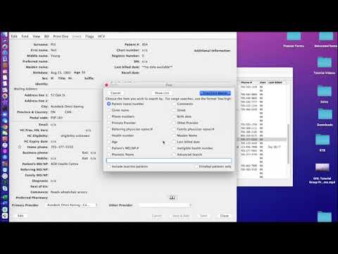 Giiwednong Health Link - Tutorial - Demographics Window