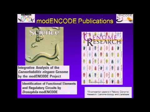 Overview of the modENCODE Project - Elise Feingold