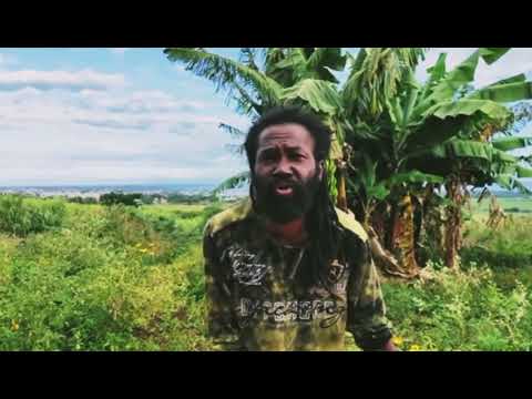 Racine Des  Îles Gérard Ranggeh exclusivité