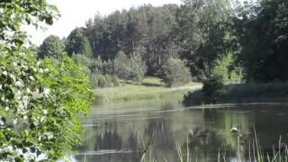 preview picture of video 'Grzybowski Młyn, rzeka Trzebiocha - Bory Tucholskie'