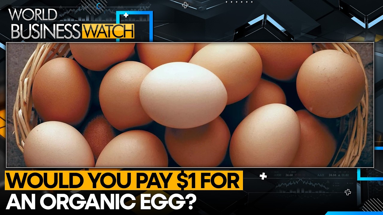 US Eggs Return to Singapore After 20 Years | WION | World Business Watch