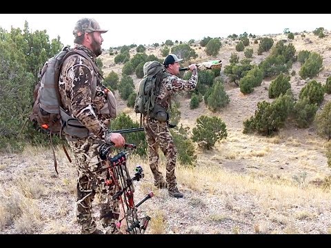CAN BORN & RAISED CALL IN ROCKY MTN. ELK? &ndash; Page 1296 &ndash; Hushin    