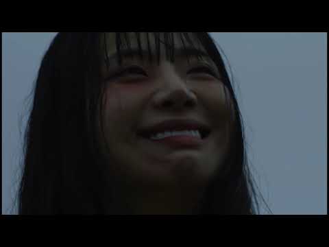 비디오 17