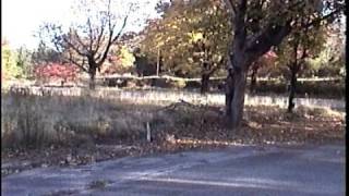 preview picture of video 'Autumn In Centralia PA, Pt 3'