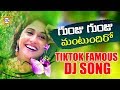 Gunju Gunju Mantundiro Gundila Raika Chinnadi Pori DJ Song Tiktok Famous FolkDjSongs DrcSunilSongs