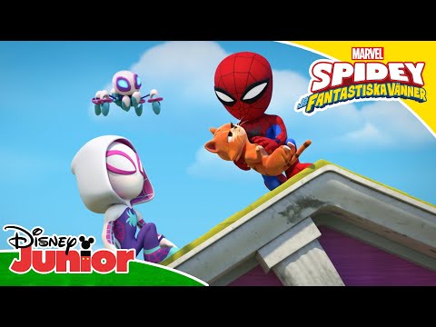 Träffa Twirl-e! | Spidey och hans fantastiska vänner | Disney Junior Sverige