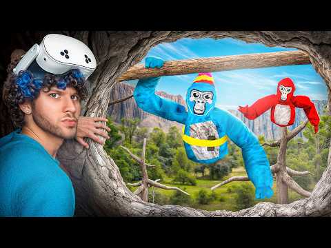 Ich bin zum Gorilla-Tag zurückgekehrt